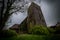 Old abandoned wooden church with a thatch angled roof, , and a tall tower