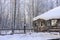 An old abandoned wooden house in a birch snow-covered forest in winter