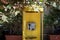 Old abandoned yellow telephone booth among green plants.