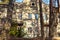 Old abandonned stone house in forest