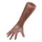 Old african hand on a white. 3D illustration