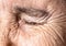 Old age concept. Close-up eye of an elderly woman with a wrinkled face