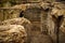 Old aged ruins of brick building ancient underground city