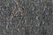 Old aged weathered oriented strand board OSB chipboard texture, grungy grey vertical pattern, horizontal rustic macro closeup,