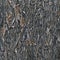 Old aged weathered oriented strand board OSB chipboard texture, grungy grey vertical pattern, horizontal rustic macro closeup,