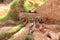 An old agricultural land irrigation system in the Algerian desert