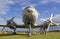 Old aircraft under the blue sky