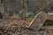 Old ancient abandoned jewish cemetery in the forest in the winter. Aged tombstones or gravestones in the graveyard