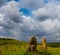 Old ancient statue stay among green prairie