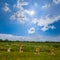 Old ancient statues stay among green prairie