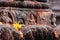 Old ancient stone structures with intricate details of statue of Hindu Gods and Goddesses carved at Swayambhunath Stupa in