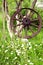 Old ancient wheel and summer grass