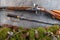 Old antique long gun and old saber with forest still life on grey background, historical weapons