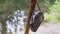 Old Antique Radio in a Leather Case Weighs on a Tree Branch in Forest in Nature