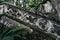 Old antique stairs with stone railings covered in green moss