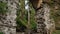 Old arched stone abandoned half-destroyed railroad bridge in Carpathians