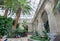 Old arches under palms in garden with exotic trees of New Carlsberg Glyptotek historical museum