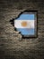 Old Argentina flag in brick wall