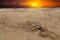 Old artillery metal projectile on the sand in the desert