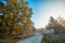 old asphalt road passes through the fabulous autumn forest