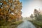 old asphalt road passes through the fabulous autumn forest