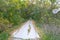 Old asphalted rural road along the forest