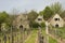 Old Austrian houses on vineyards in Burgenland