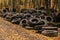 Old automobile tyre thrown out in a forest. noise is present.