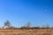 Old autumn field under the moon and blue sky