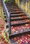 Old autumn staircase with fallen red maple leaves and openwork carved metal railing