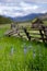 Old barn and abandoned homestead on a green grassy hillside