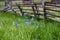 Old barn and abandoned homestead on a green grassy hillside