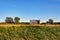 Old barn in a blue clear sky in countryside