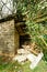 Old Barn Damaged By Recent Hurricane