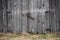 Old Barn Doors on a barn on FM 275 in Cumby texas