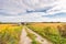 An old barn at the end of gravel road in yellow farm field