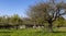 Old barn of farmer in fruit orchard