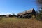 An Old Barn that Fell Down.