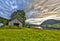 Old barn in Fjord landscape Norway