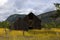 Old Barn in Golden field