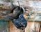 An old barn lock with keys, in a wooden shed, hanging from a large nail.