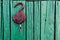 Old barn locks with keys hang on the painted green wood wall.