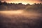 Old barn in misty field