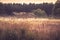 Old barn in misty field