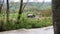 Old Barn in the mountains with flowing creek