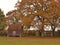 An old barn nestles in the shadows of a majestic oak tree in it`s autumn glory