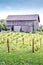 Old barn with new vineyard growing on wires