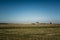 Old barn and pigsty of a small farm in Moldova