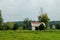 Old Barn with rusted Roof