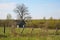 Old barn scene in western Russia. rustic old farm building. old rustic barn. Pskov oblast, Northwest part of Russia, Europe.